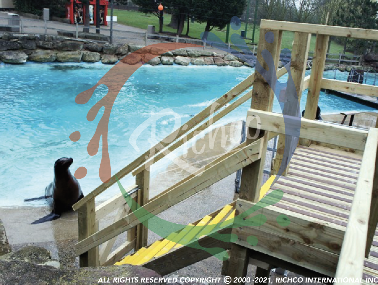Richco Flooring at Chessington World of Adventures - Seal Enclosure - Dino Grip Non-Slip Products 